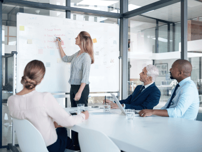 Primavera P6 Project Management